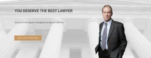 Best Lawyer